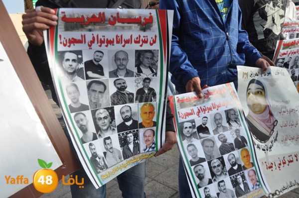 tdahora yaffa shabiba 0308 (19).JPG